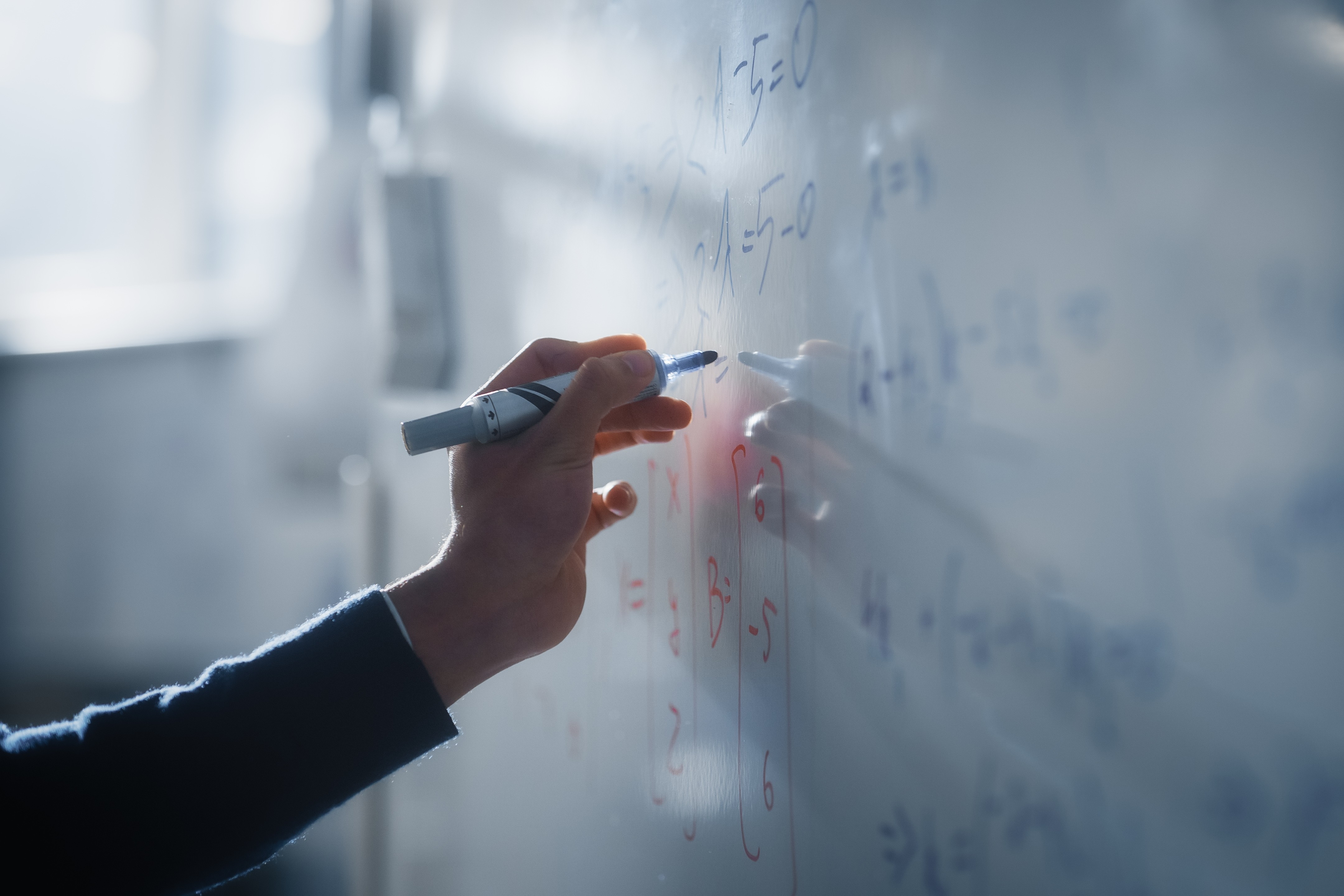 Mathematical, Computational, and Experimental Approach in Cardiovascular and Cancer Research