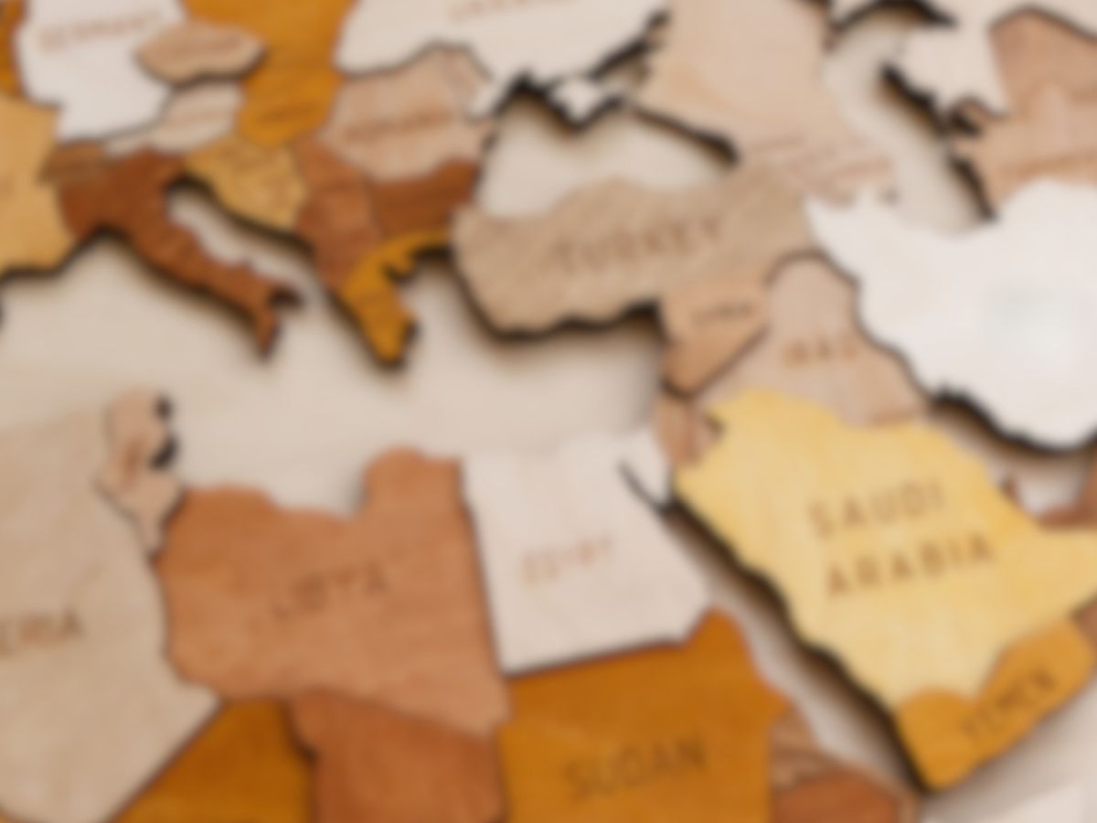 The Network on Gender, Politics, and Policy in the Middle East and North Africa: Annual Workshop