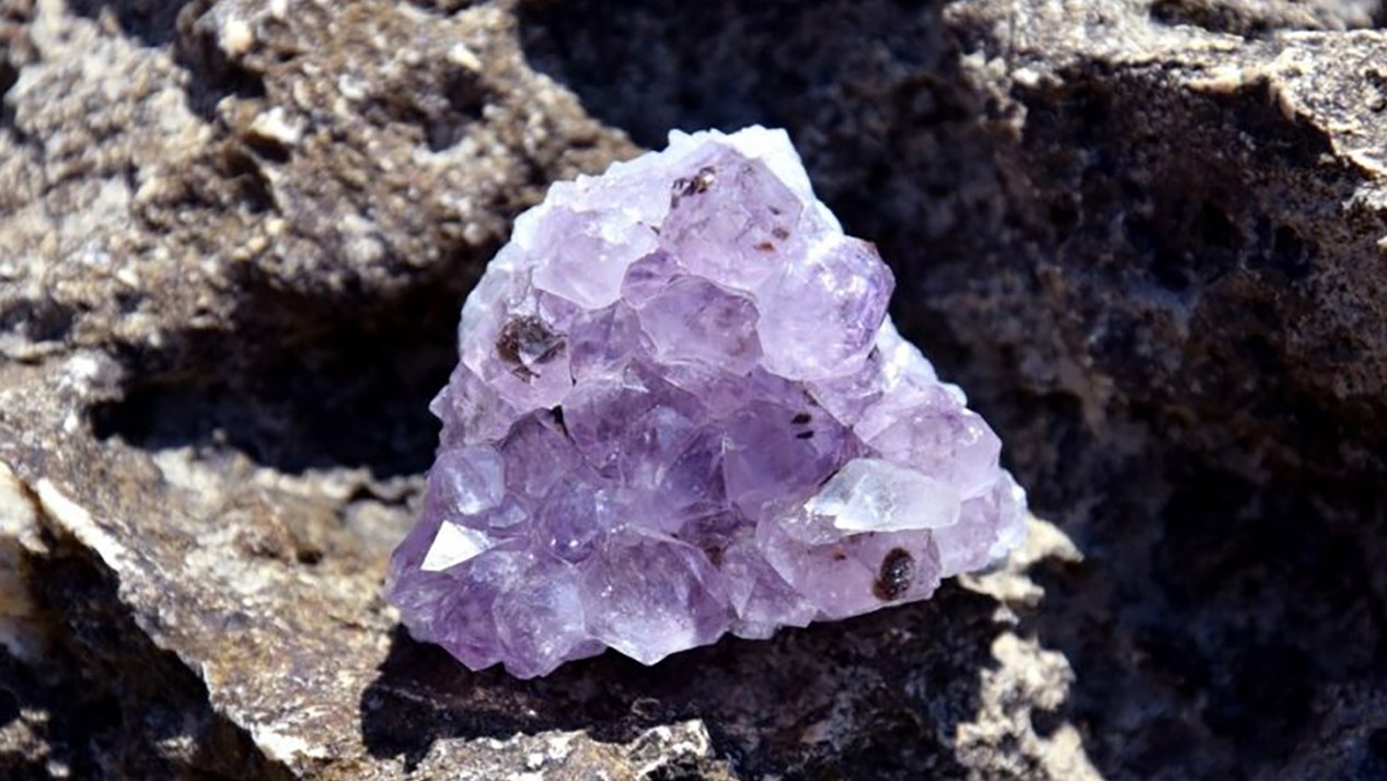 Crystals in Health and Disease