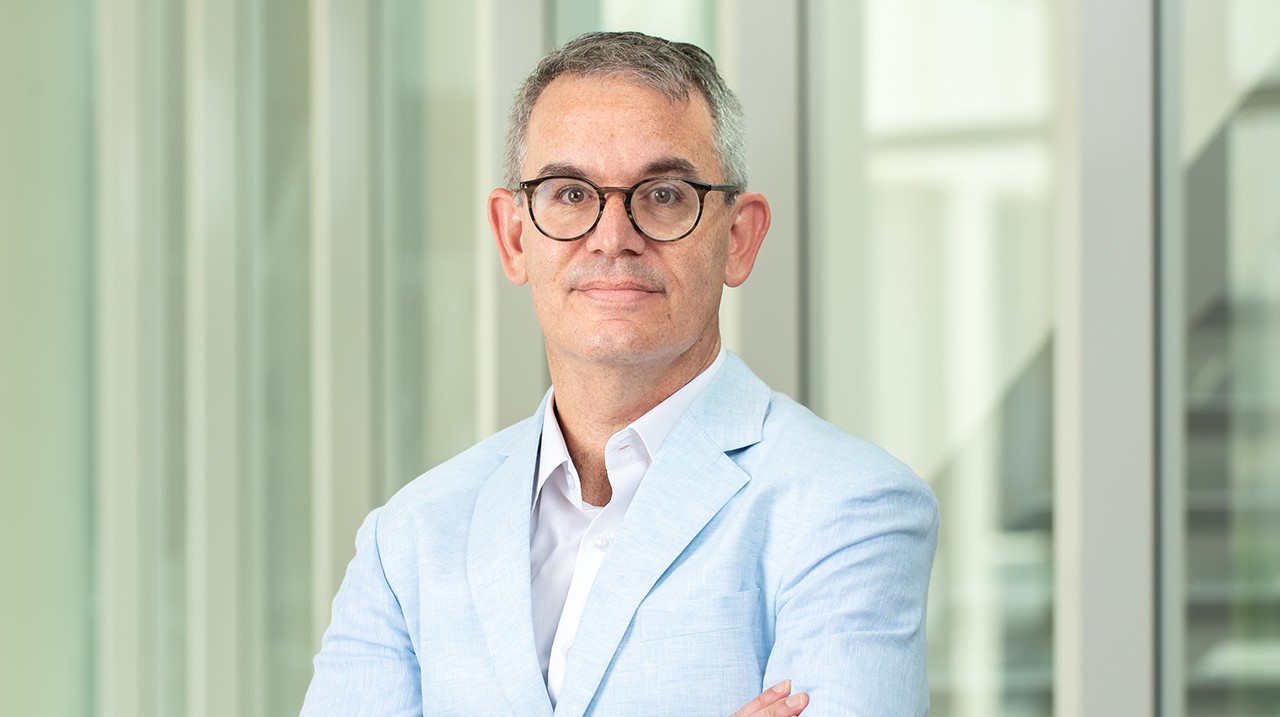Maurice Pomerantz, NYU Abu Dhabi