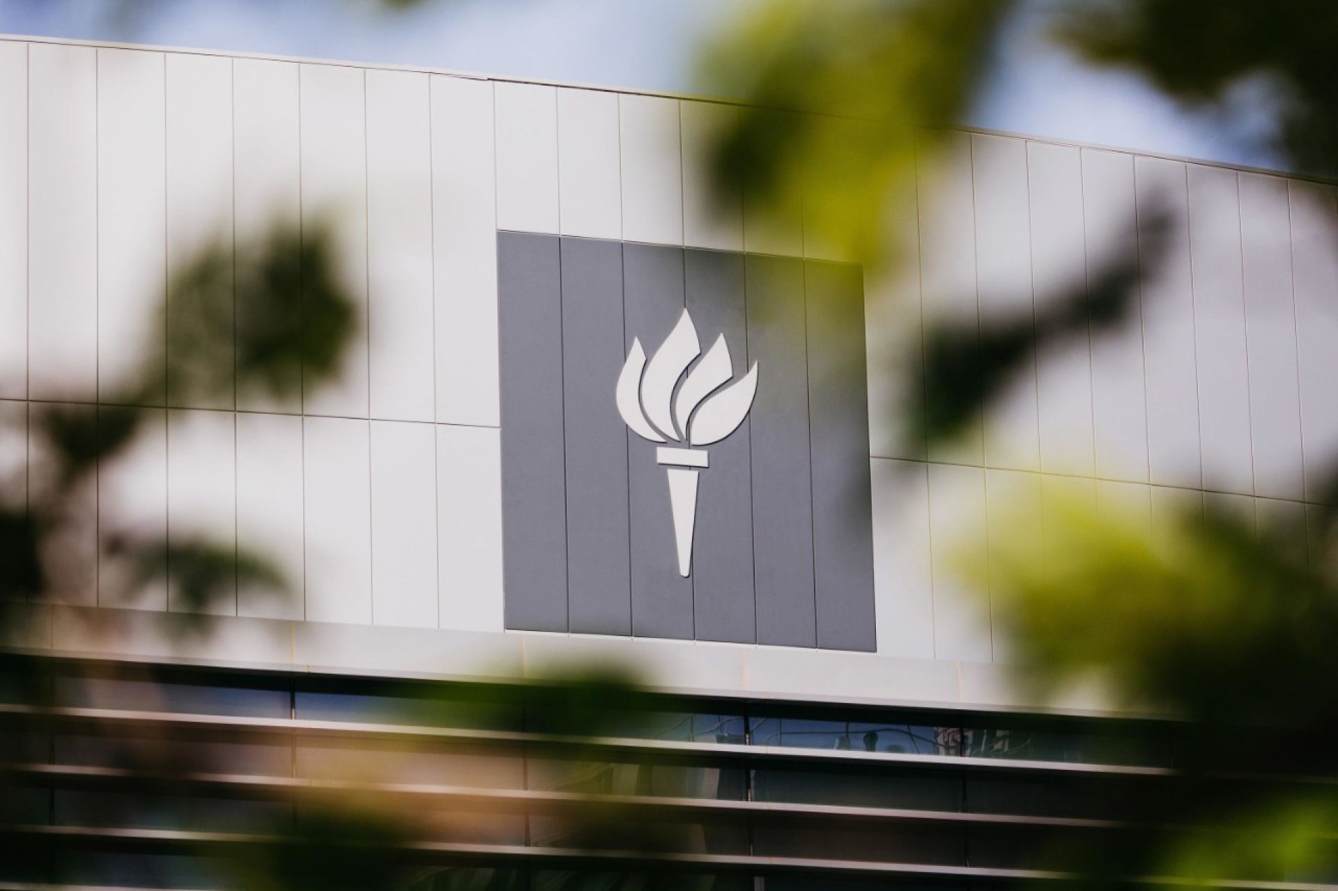 NYU Abu Dhabi Saadiyat campus
