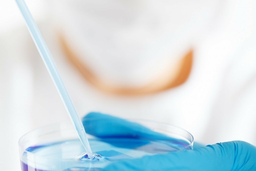 Science and Knowledge Economy Ireland as a Model for UAE