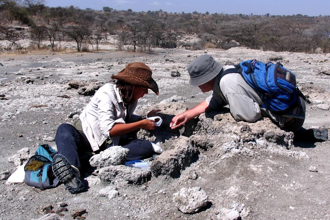 A Paleontologist's Perspective
