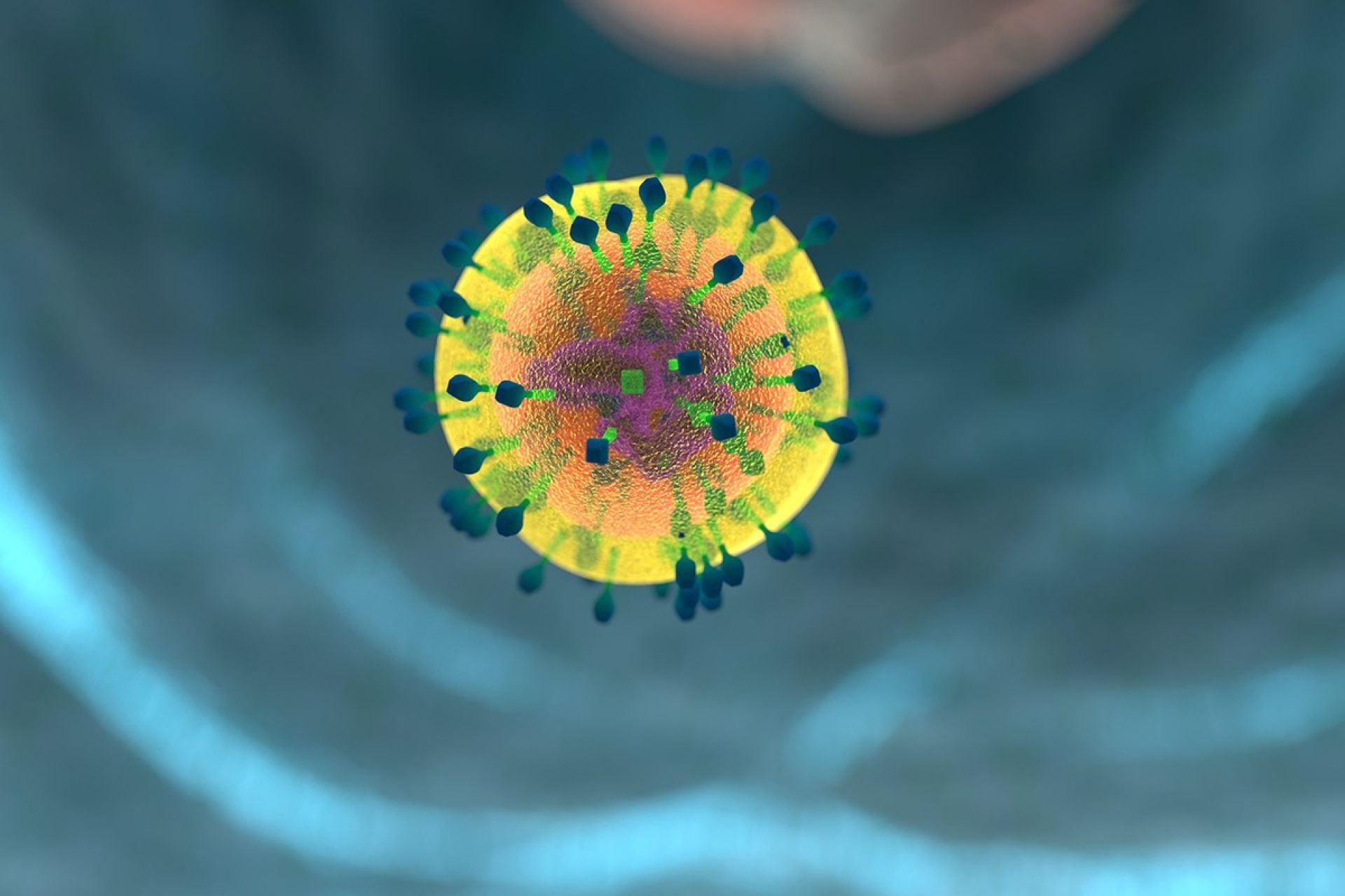 The Immunotherapy Revolution: How to Harness the Power of the Immune System to Treat Major Human Diseases
