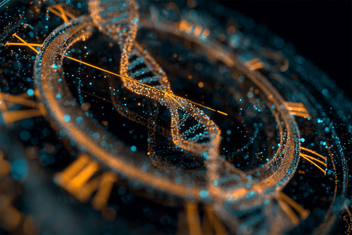 Life’s 24 Hour Clock